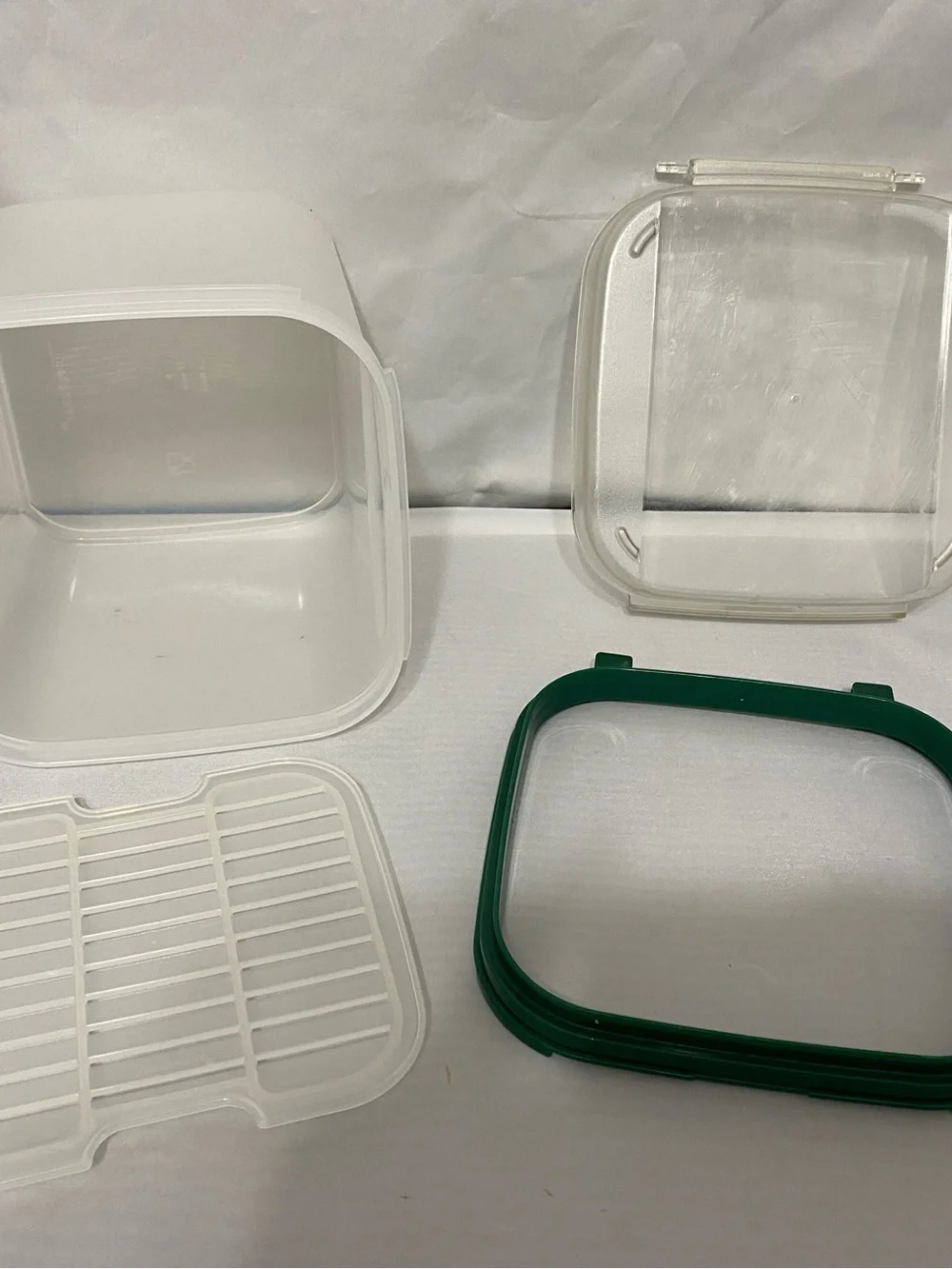 Tupperware Container with Green Rim and Flip Top Lid